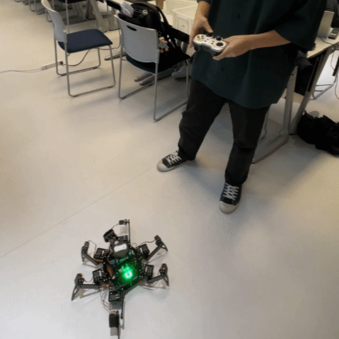CSL UROP Project - Hexapod Robot