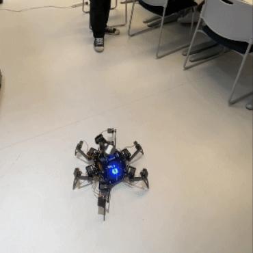 Final Hexapod 2