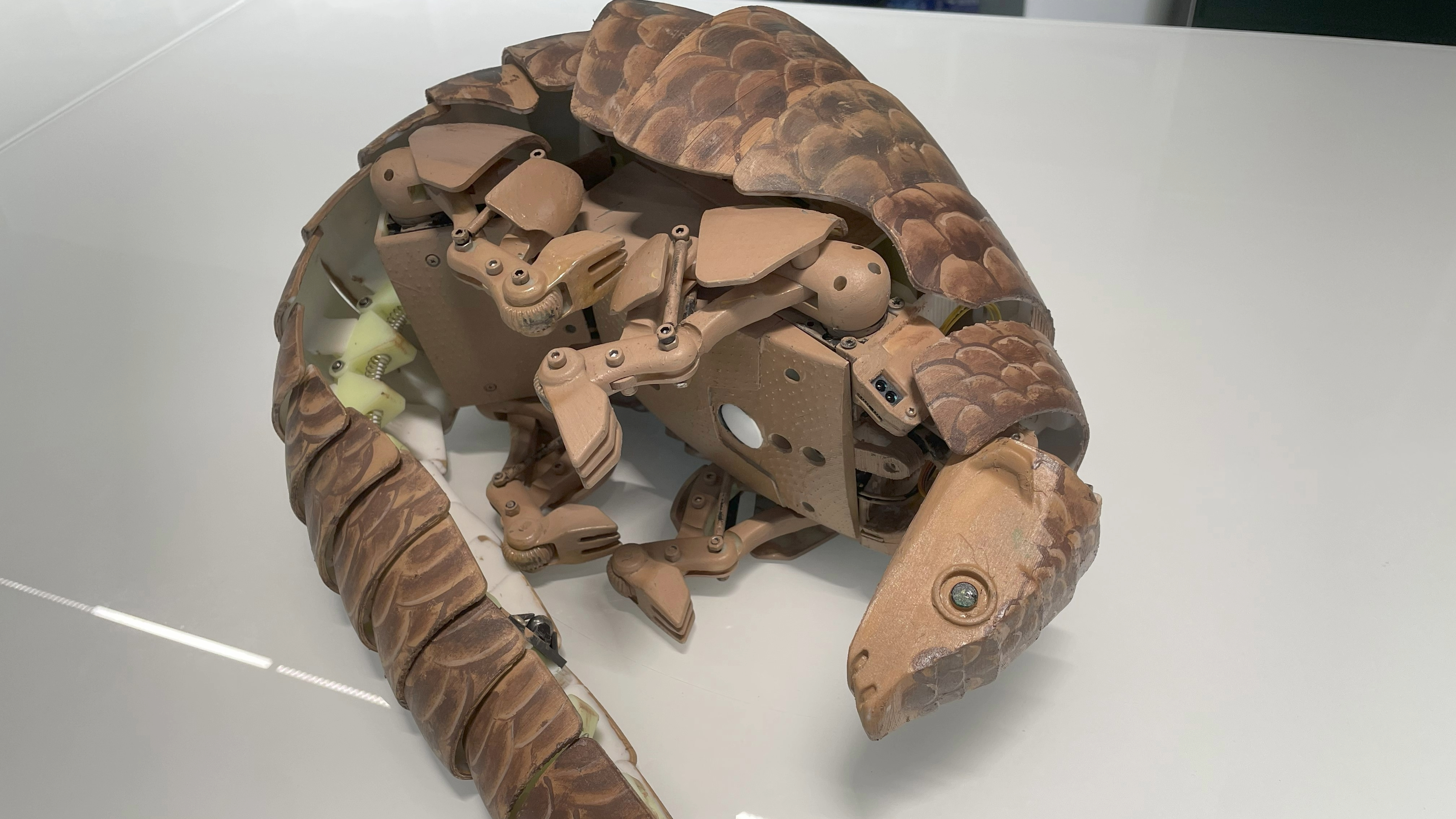 Bio-Inspired Robot - Pangolin